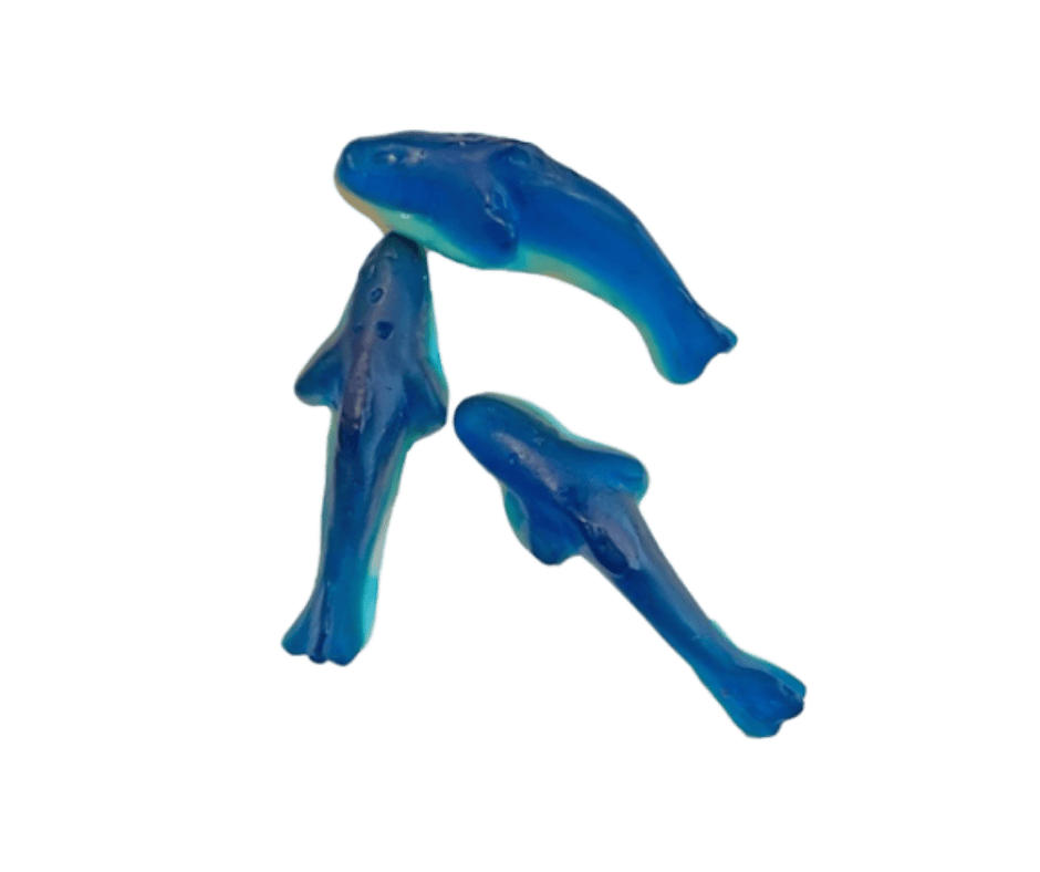 Swedish Blue sharks